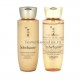 SULWHASOO Concentrated Ginseng Renewing Water 25мл